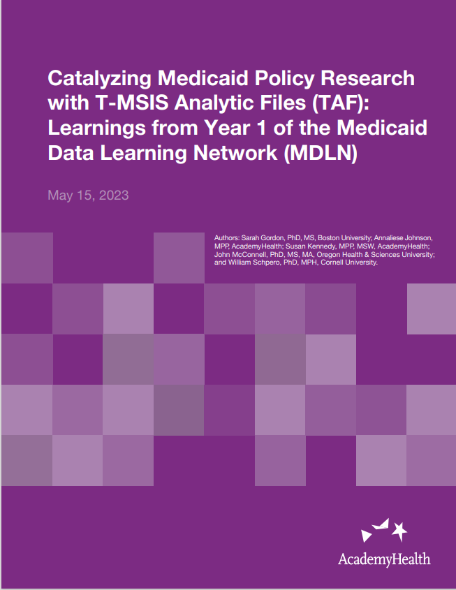 A purple cover of the MDLN Year 1 Summary Report.