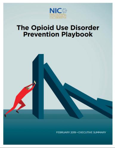       New Playbook Focuses on 11 Strategies to Add Prevention to the Fight Against the Opioid Epidemic
  