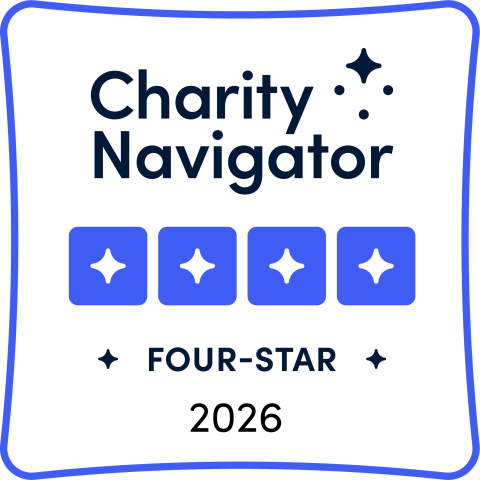 four star badge