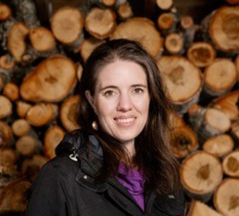 Anne Zink, M.D.