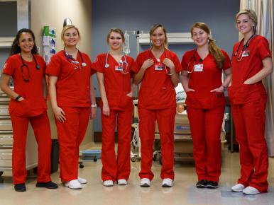 Opportunities Abound for Health Services Research Training for Nurses